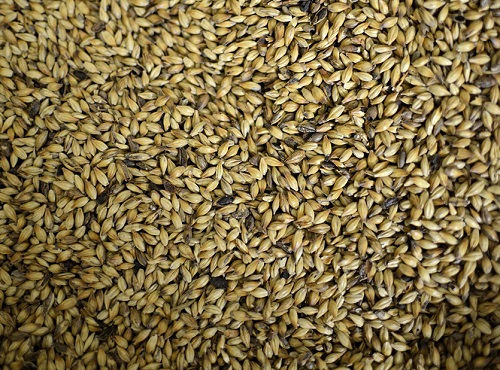 malt whisky