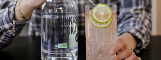 TUTO COCKTAIL DE LILYA #6 : Le Moscow Mule