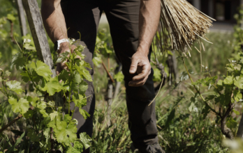Le Whisky Small Batch Hors-Série