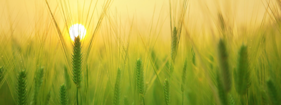 « Une entreprise engagée, c’est une entreprise qui croit qu’un monde durable est souhaitable… et surtout possible ! »