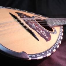 Green Mandolin